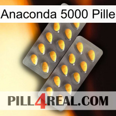 Anaconda 5000 Pill cialis2